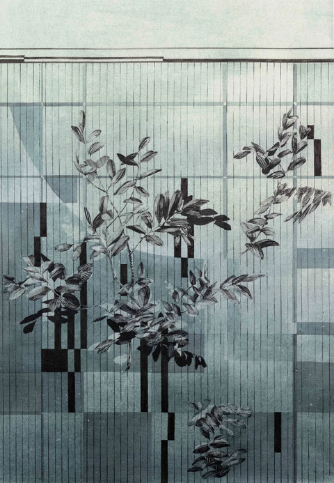 INDIGO Light Collection