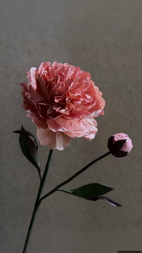 Wax Paper Flower — Chinese Peony ‘Grandiflora’
