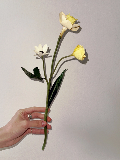 Wax Paper Flower — ‘Narcissus Jeune'