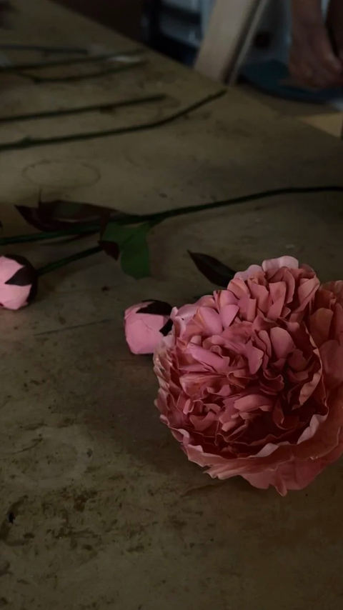 Wax Paper Flower — Chinese Peony ‘Grandiflora’
