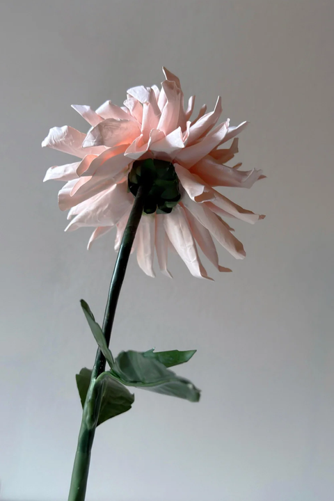 Wax Paper Flower — Chrysanthemum ‘Pink Blossom’